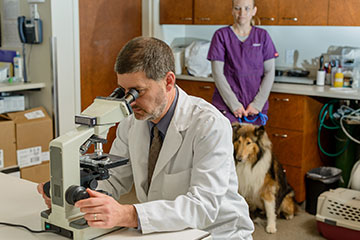  Animal Diagnostic Laboratory