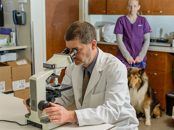 Animal Diagnostic Laboratory