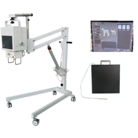 DR-100 Digital Radiography System