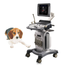 US-K10 Color Doppler Ultrasound Scanner