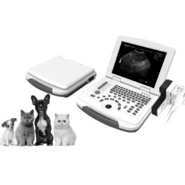 US-S10 Digital B/W Ultrasound Scanner