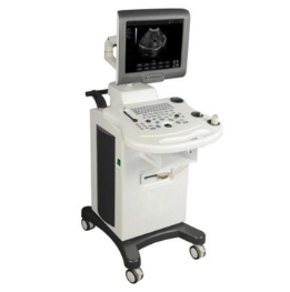 US-8Z Digital B/W Ultrasound Scanner