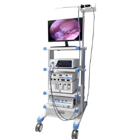 REC-1000 VET Rigid Endoscope System