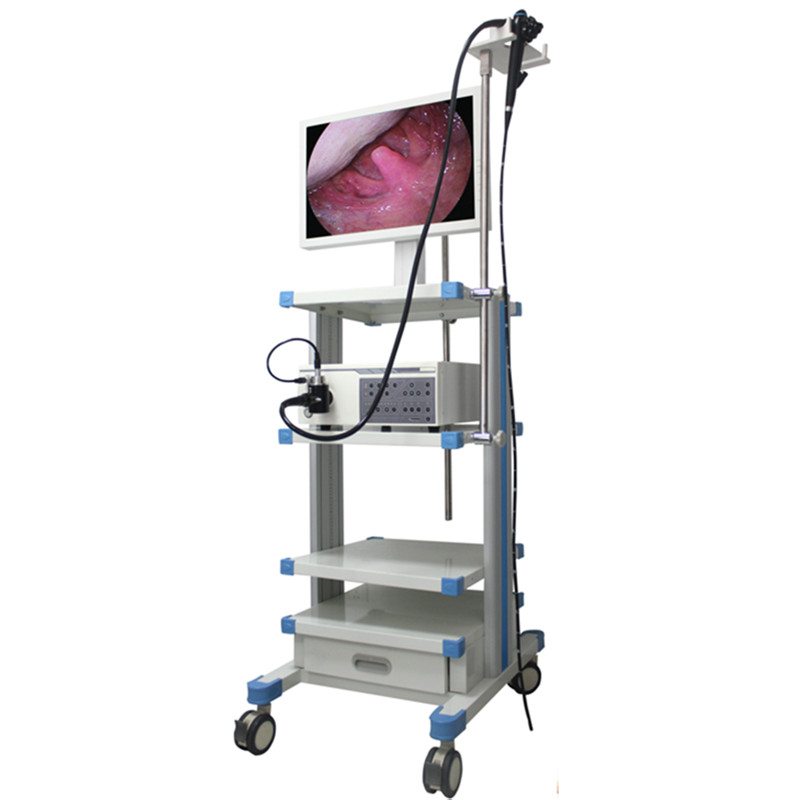 FEC-400A Video Gastroscope/ Colonoscope (Used for Dolphin or Other Similar One in Aquarium)