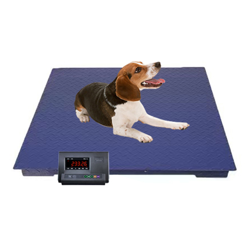 SA-F Veterinary  Digital Floor Scale