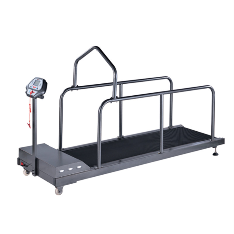 TM-C400G/C400WG  Pet Treadmill ( High Speed)