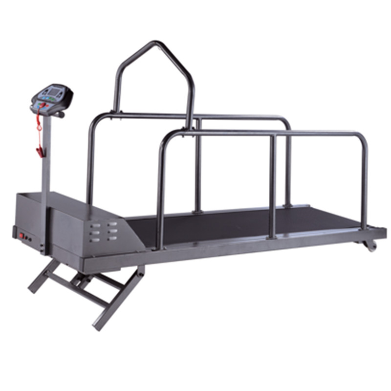 TM-C400SG/C400WSG  Pet Treadmill (High Speed+ Electric incline)