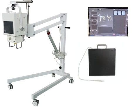 Digital Radiography System